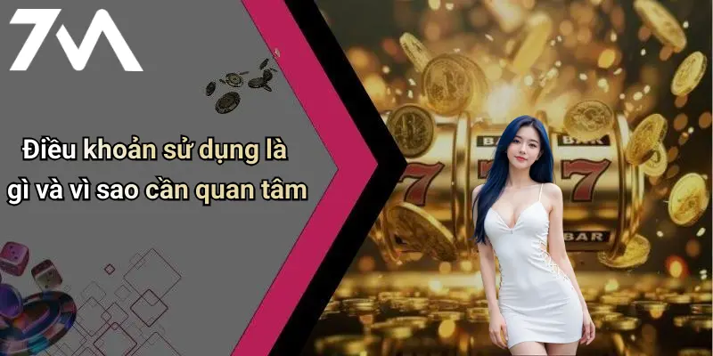 Điều khoản sử dụng là gì và vì sao cần quan tâm