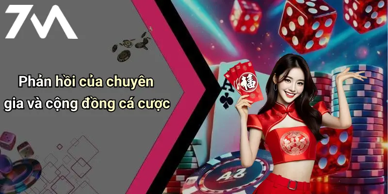 Phản hồi của chuyên gia và cộng đồng cá cược