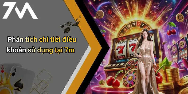 Phân tích chi tiết điều khoản sử dụng tại 7m