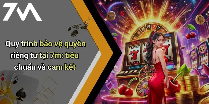 Quy trình bảo vệ quyền riêng tư tại 7m: tiêu chuẩn và cam kết