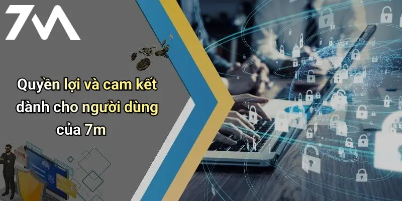 Quyền lợi và cam kết dành cho người dùng của 7m