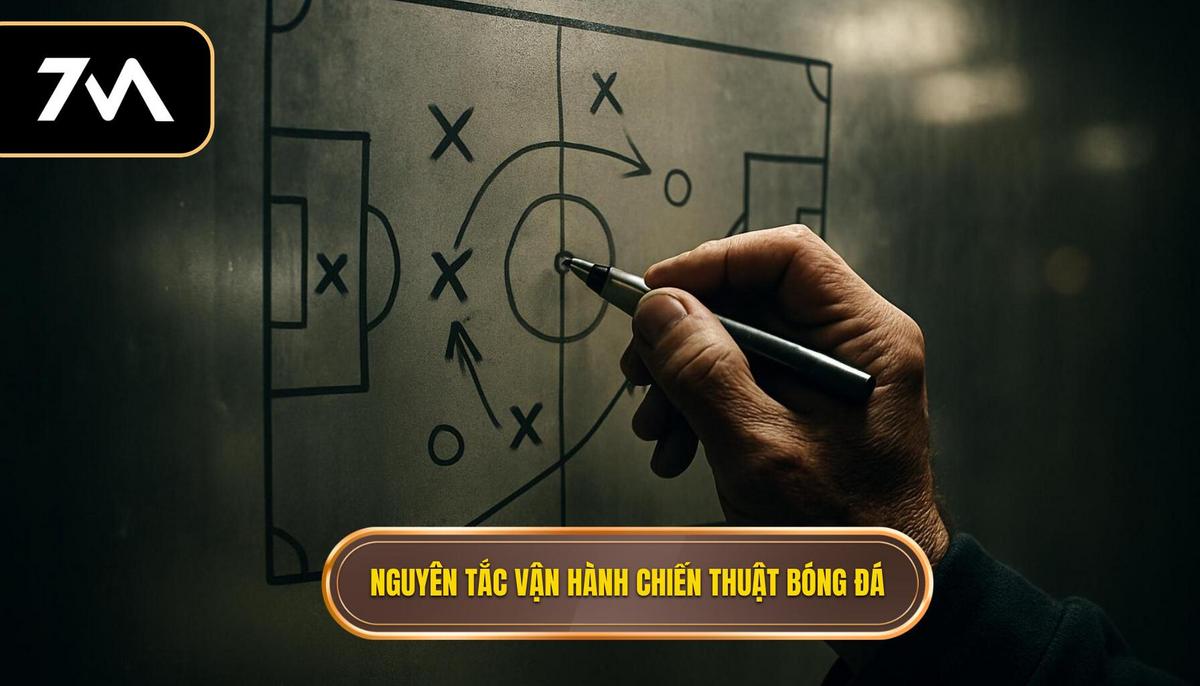 Nguyên Tắc Vận Hành Khi Áp Dụng Chiến Thuật Bóng Đá 4-1-4-1 Phòng Ngự