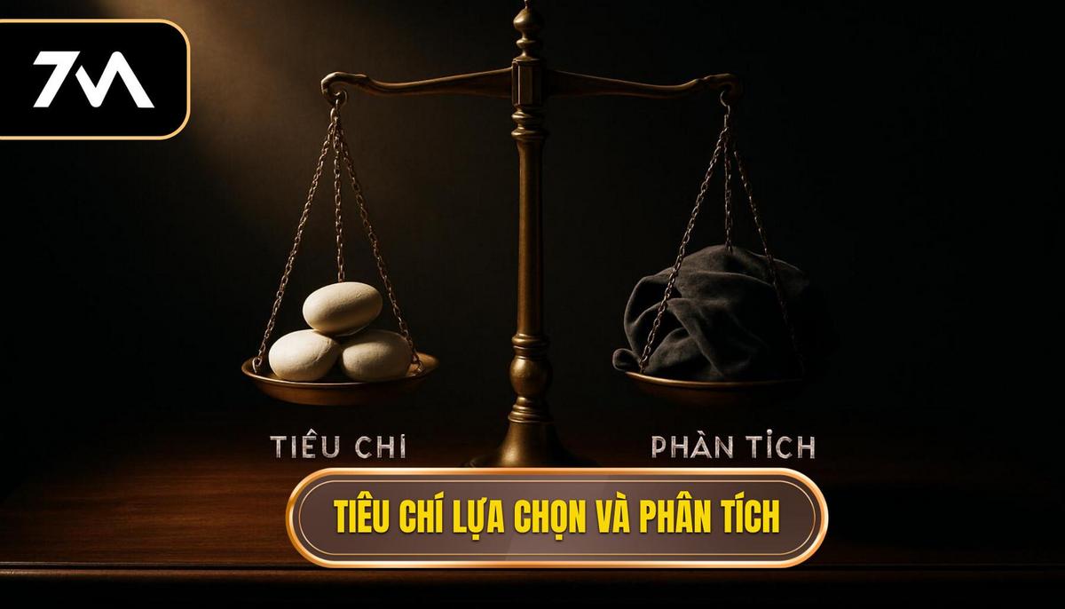 Tiêu chí Lựa chọn và Phân tích Chuyên sâu