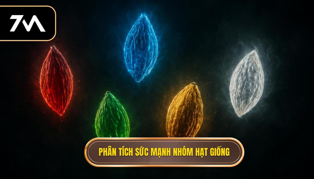 Phân tích sức mạnh các nhóm hạt giống hàng đầu
