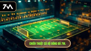 Chiến thuật cá độ bóng đá 7M.